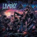 LIVIDITY Perveseverance  CD